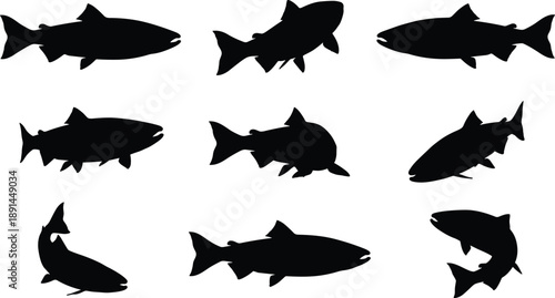 Silhouette set of freshwater fish in different swimming positions, illustrating aquatic wildlife, fishing concepts, nature themes, and black vector animal icons