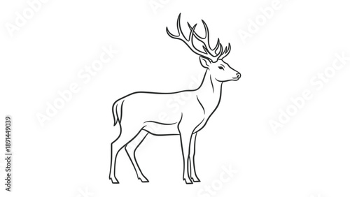 Majestic Stag Silhouette: An elegant line drawing of a stag, showcasing its impressive antlers in a graceful pose, highlighting the animal's natural beauty and the intricate details of its form.