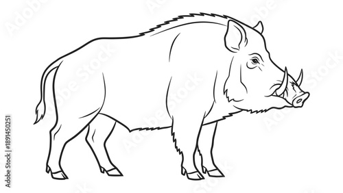 Wild Boar Illustration: A detailed black and white illustration of a wild boar, showcasing the animal's powerful physique and characteristic features.