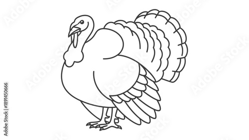 Thanksgiving Turkey Line Drawing: A detailed line drawing of a majestic turkey stands proudly, its feathers fanned in a display of autumnal abundance.