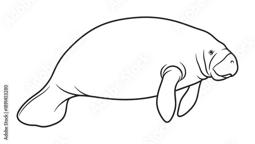 Gentle Manatee: A captivating sketch depicts a serene manatee, gracefully gliding through the aquatic realm.