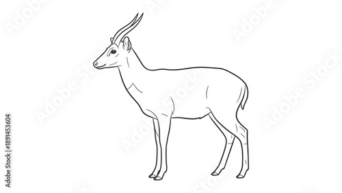 Graceful Silhouette: A refined sketch showcases a poised antelope, its slender frame and elegant horns in full profile against a neutral canvas. 