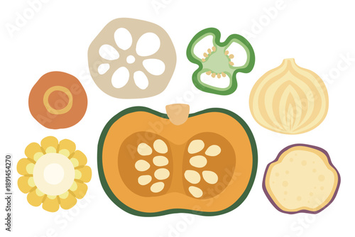 Cute vegetable slice cross-section illustration