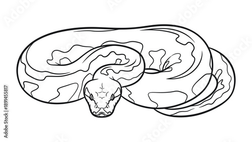 Serpentine Sketch: A detailed line drawing of a coiled serpent, its intricate patterns and piercing gaze evoke a sense of mystery and ancient power.