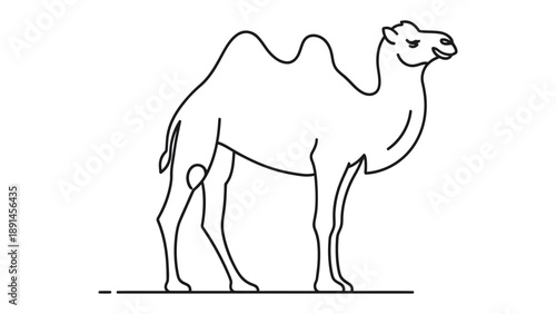 Camel Silhouette: A minimalist illustration of a majestic camel, its silhouette elegantly captured, symbolizing resilience and the essence of the desert.