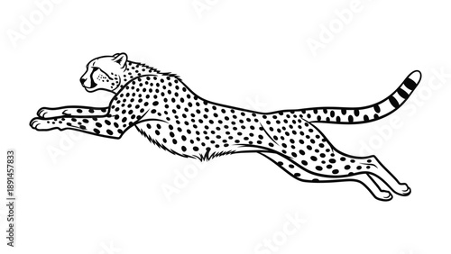Cheetah in Motion: A sleek cheetah, a symbol of speed and agility, is captured in mid-stride, showcasing its powerful physique and distinctive spotted coat.