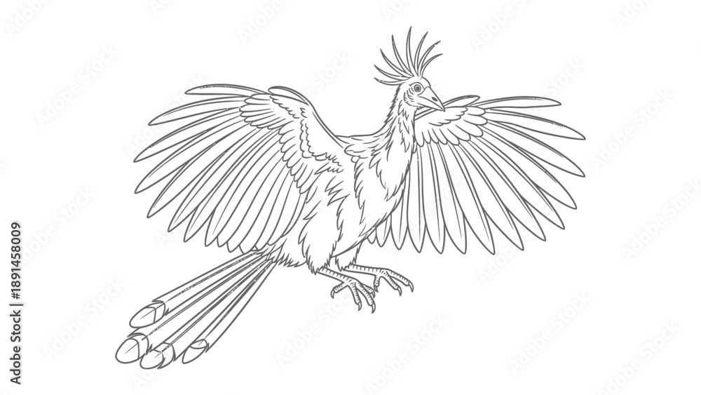Obraz premium Line Art Crested Bird in Flight: A majestic bird with a distinctive crest and outstretched wings, rendered in intricate line art, takes flight with elegance and grace.