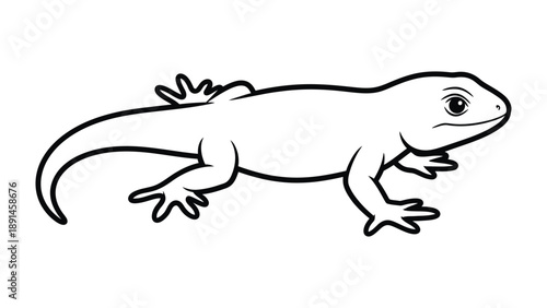 Lizard Illustration: A stylized illustration of a lizard showcases the reptile in a clean, minimal, monochrome aesthetic, ideal for graphic designs and educational content.
