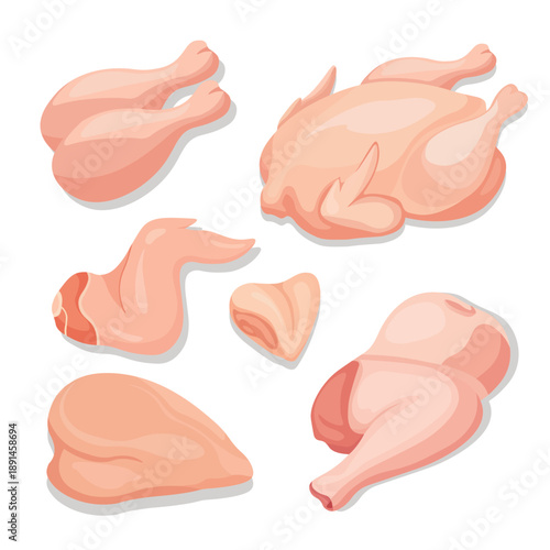 Raw Chicken Cuts Set – Whole Chicken, Drumstick, Wing, Breast Flat Vector Illustration