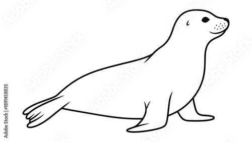 Playful Marine Marvel: A captivating illustration of a streamlined seal, its sleek form poised with grace and curiosity. The image emphasizes the elegance of aquatic life.