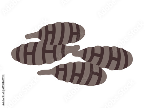 Hand Drawn Mold Alternaria Fungus
