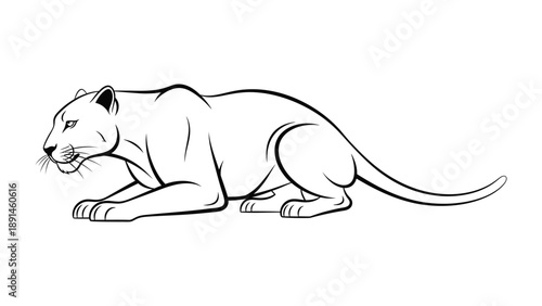 Panther Silhouette: A sleek panther gracefully poised in a stealthy stance, rendered in a striking monochrome silhouette, highlighting its power and elegance.