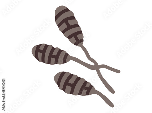 Mold Spore Alternaria Fungus Illustration