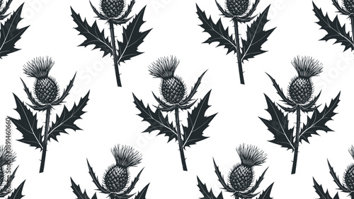 Bold seamless pattern featuring detailed hand drawn thistle flowers and spiky leaves in a high contrast black and white monochrome style.