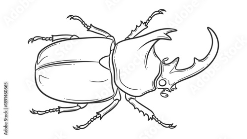 Bug Outline Illustration: A detailed outline illustration of a rhinoceros beetle, showcasing its unique horn and intricate exoskeleton.