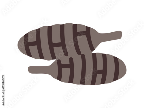 Mold Spore Alternaria Fungus Illustration