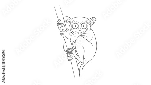 Tarsier's Curious Gaze: An adorable tarsier clings to a slender branch, its large eyes filled with a captivating curiosity, drawing viewers into its world. 