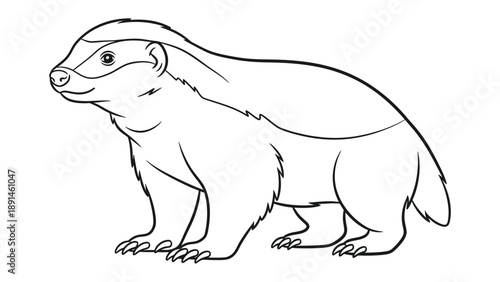 Photos Badger Illustration: A detailed outline of a badger, showcasing its distinctive markings and stout build, perfect for coloring and educational purposes