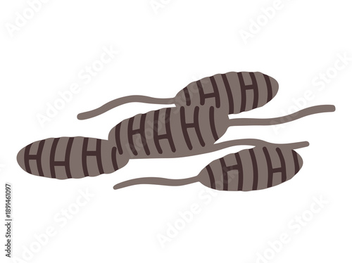 Spore Alternaria Fungus Clip Art