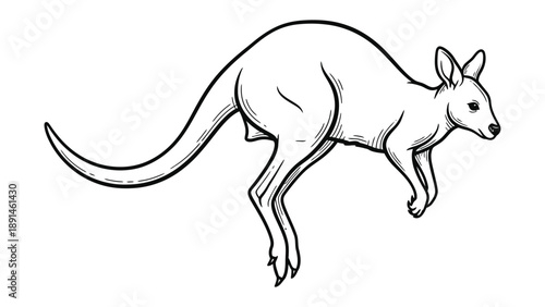 Agile Kangaroo in Action: Capturing a kangaroo mid-leap, showcasing its remarkable agility and distinctive silhouette.