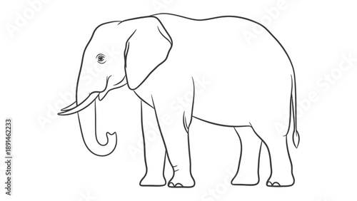 Elephant Sketch: A graceful contour sketch of an majestic elephant, standing tall, capturing the essence of the creature's massive size and powerful stance. 