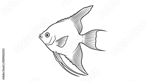 Angelfish Silhouette: A detailed illustration captures the graceful form of an angelfish, its fins extended in elegant lines, creating a sense of underwater serenity.