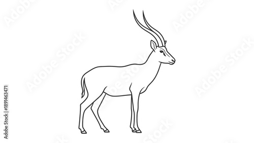 Elegant Antelope Illustration: A sophisticated sketch of an antelope, characterized by its elegant posture and majestic horns, gracefully stands against the backdrop.