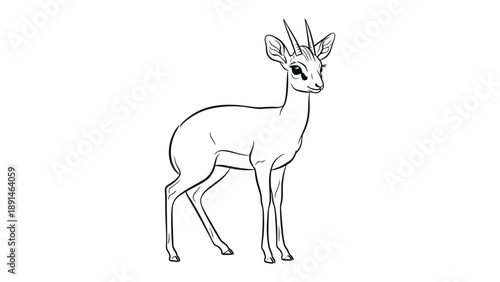 Graceful Dik-Dik Illustration: A delicate illustration captures the slender form of a dik-dik, a small antelope known for its gentle nature and captivating eyes.