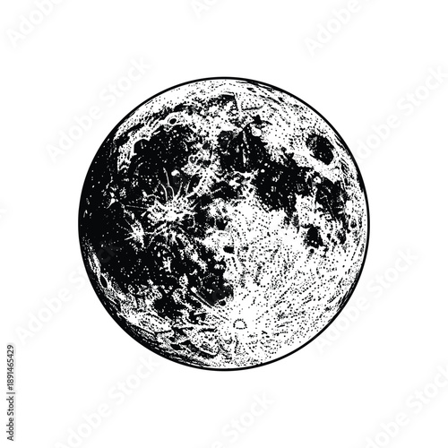 Detailed moon surface vector illustration with lunar craters and textured shadows