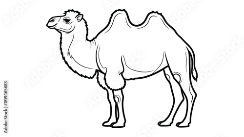 Desert Dweller: A captivating illustration of a majestic camel, known for its resilience and adaptability in the harsh desert environment, standing tall.