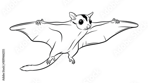 Flying Squirrel Illustration: An elegant depiction of a sugar glider in full flight, showcasing the creature's unique gliding membrane and delicate features.