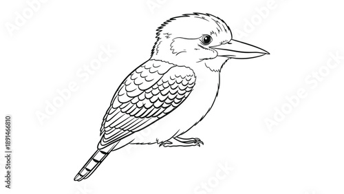Kookaburra Sketch: A minimalist black and white sketch of a Kookaburra, the iconic Australian bird, captured in a simple and elegant illustration style.