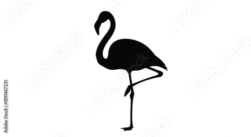 A black silhouette of a flamingo standing on one leg against a white background.