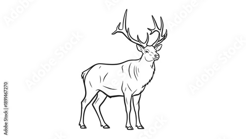 Deer Illustration: An elegantly illustrated deer stands proud, showcasing magnificent antlers, a symbol of wildlife majesty.