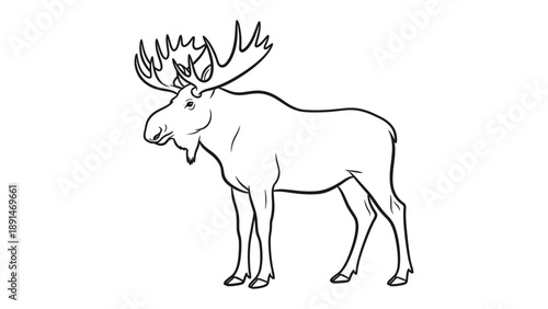 Majestic Moose in Outlines: A detailed outline of a massive moose stands proudly, showcasing its iconic antlers and commanding presence.