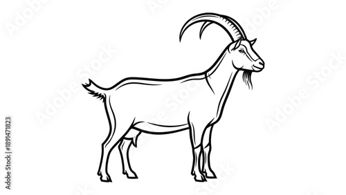 Simple Goat Illustration: A clean, minimalist illustration of a goat, perfect for various design uses, embodying the essence of rural life.