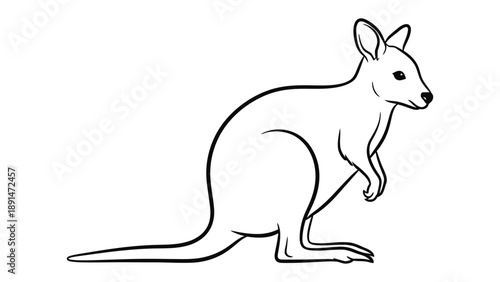 Kangaroo in minimalist line art: A minimalist black and white line art illustration of a kangaroo standing, showcasing its iconic features.