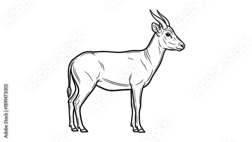 Elegant Antelope Portrait: A refined monochrome sketch of an antelope, rendered with meticulous detail. Capturing its graceful posture and the subtle play of light and shadow.