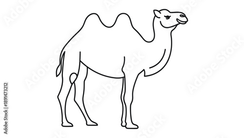 Camel Line Art Illustration: A simple yet elegant line art illustration of a camel, showcasing the animal's distinctive hump, long legs, and desert adaptation.