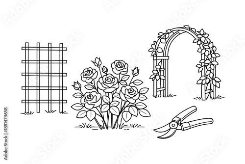 Garden tools and structures with roses in linear black and white design