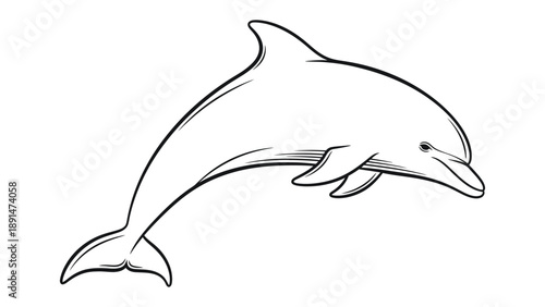 Playful Dolphin: A delightful sketch of a dolphin, rendered in elegant black and white lines, perfectly captures its graceful form and joyous essence.