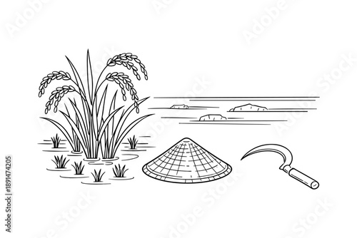 Linear drawing of rice field with traditional hat and sickle