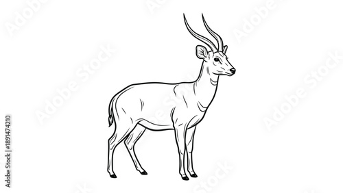 Deer Sketch: a sleek line art of a deer with impressive antlers standing with a regal poise.