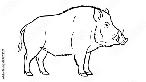 Wild Boar Illustration: A detailed black and white illustration of a wild boar showcases its rugged physique, strong features, and untamed spirit.