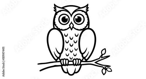 Owl Sitting on a Branch.