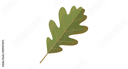 A vibrant digital illustration of a single green oak-like leaf displaying its distinct lobed structure and clear venation upon a pure white canvas