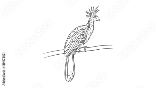 Unique Avian Portrait: A striking monochrome illustration of a bird perched gracefully on a branch, showcasing intricate details.