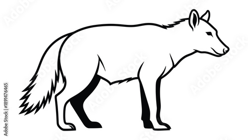 Lone Wolf's Silhouette: A stark black and white image captures the graceful form of a lone wolf, exuding an aura of mystery and untamed wilderness.