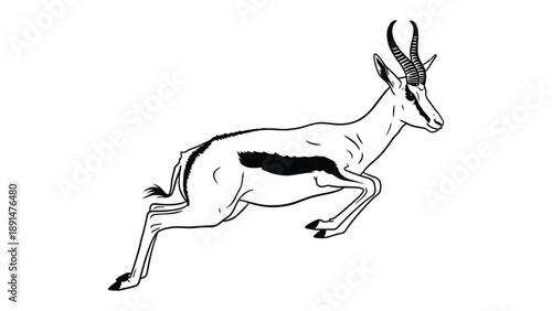 Springbok Leaping with Grace: A dynamic illustration captures the essence of a leaping springbok, its body poised in mid-air, showcasing power and agility.