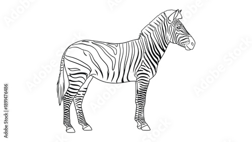 Zebra Profile in Monochrome: A detailed, monochrome illustration of a zebra, showcasing its striking black and white stripes in a side profile. The elegant form stands out with stark contrasts.